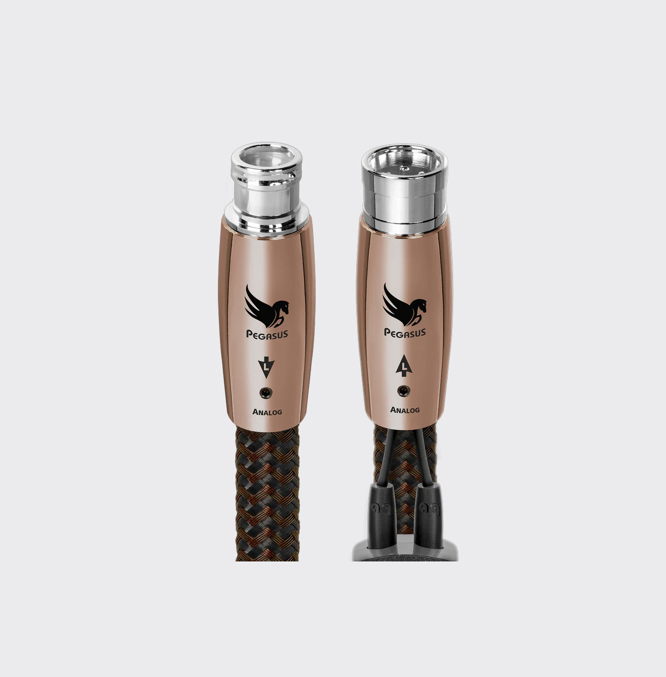 Audioquest Pegasus XLR