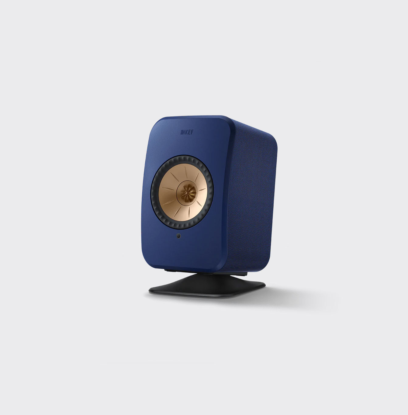 Kef P1