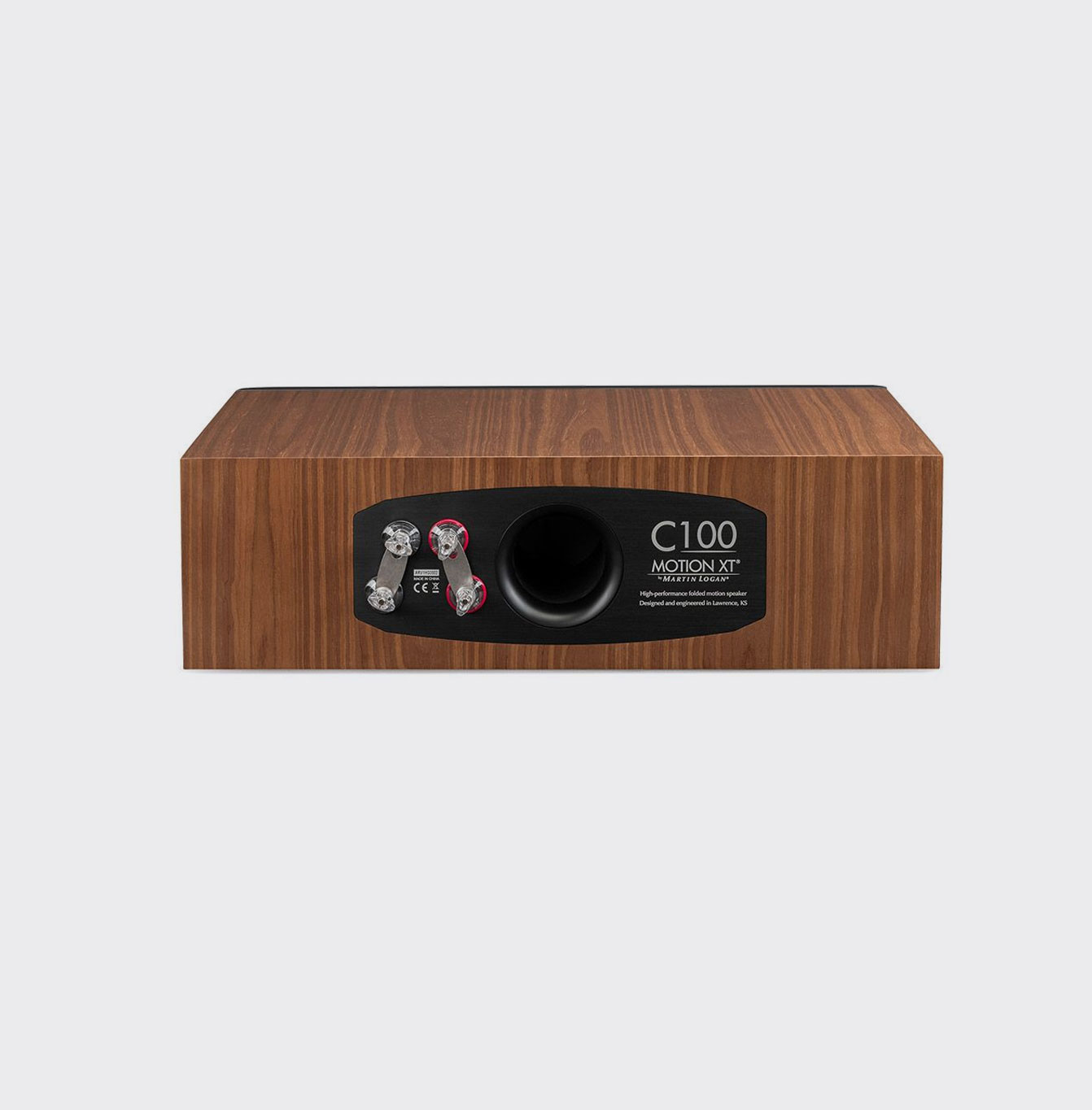 Martin Logan Motion XT C100