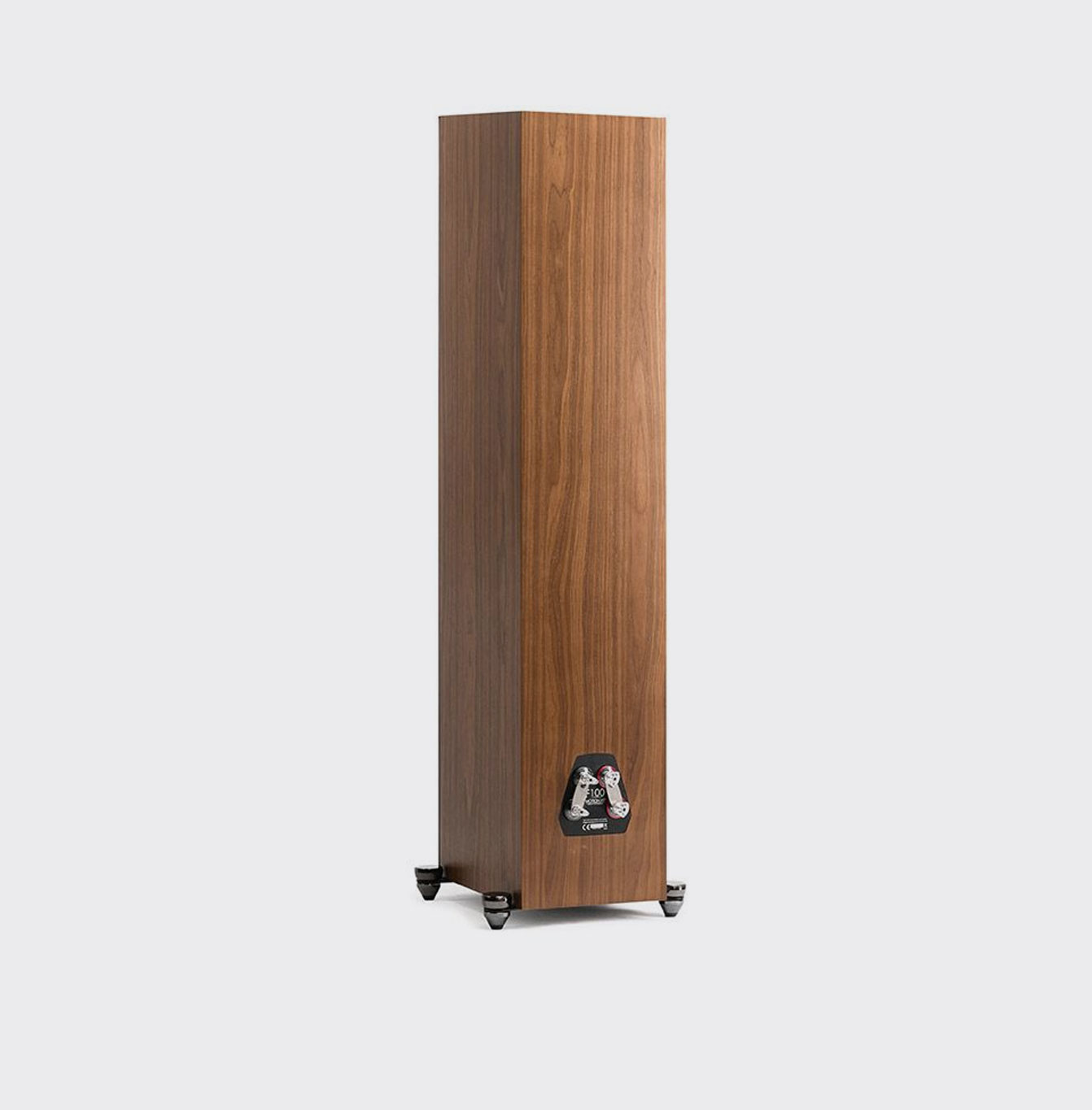 Martin Logan Motion XT F100
