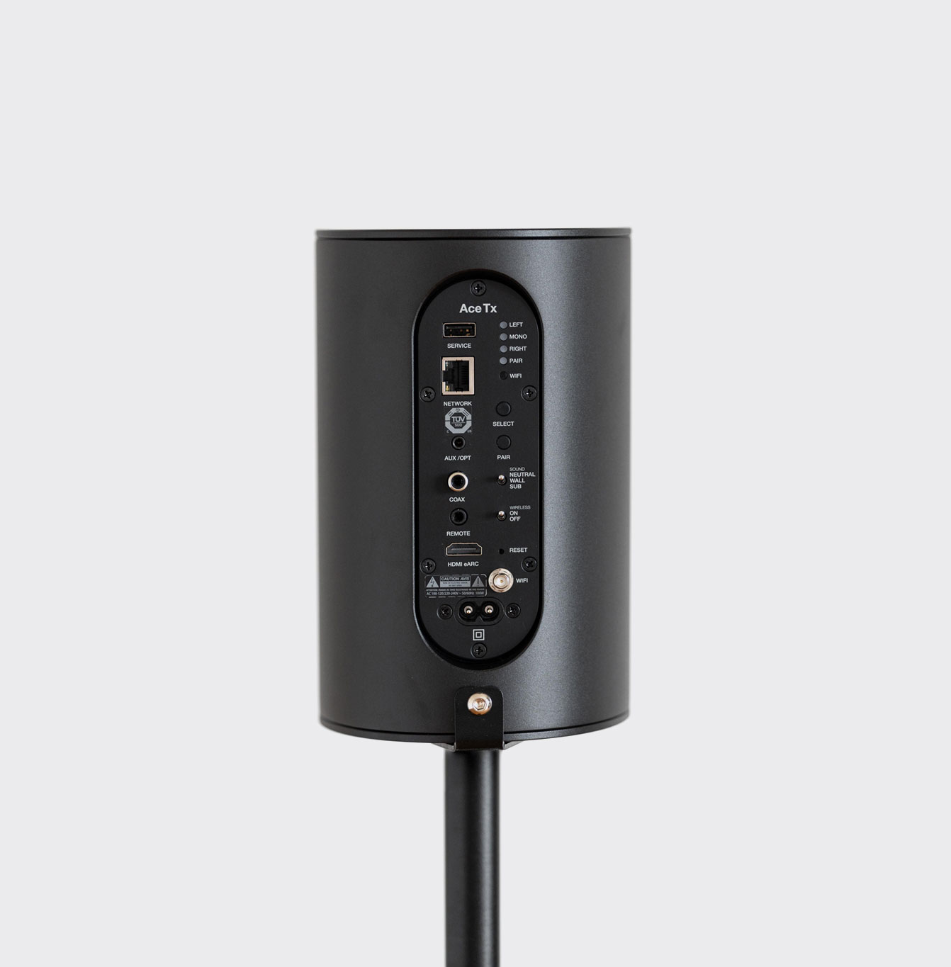 Piega Ace 30 Wireless