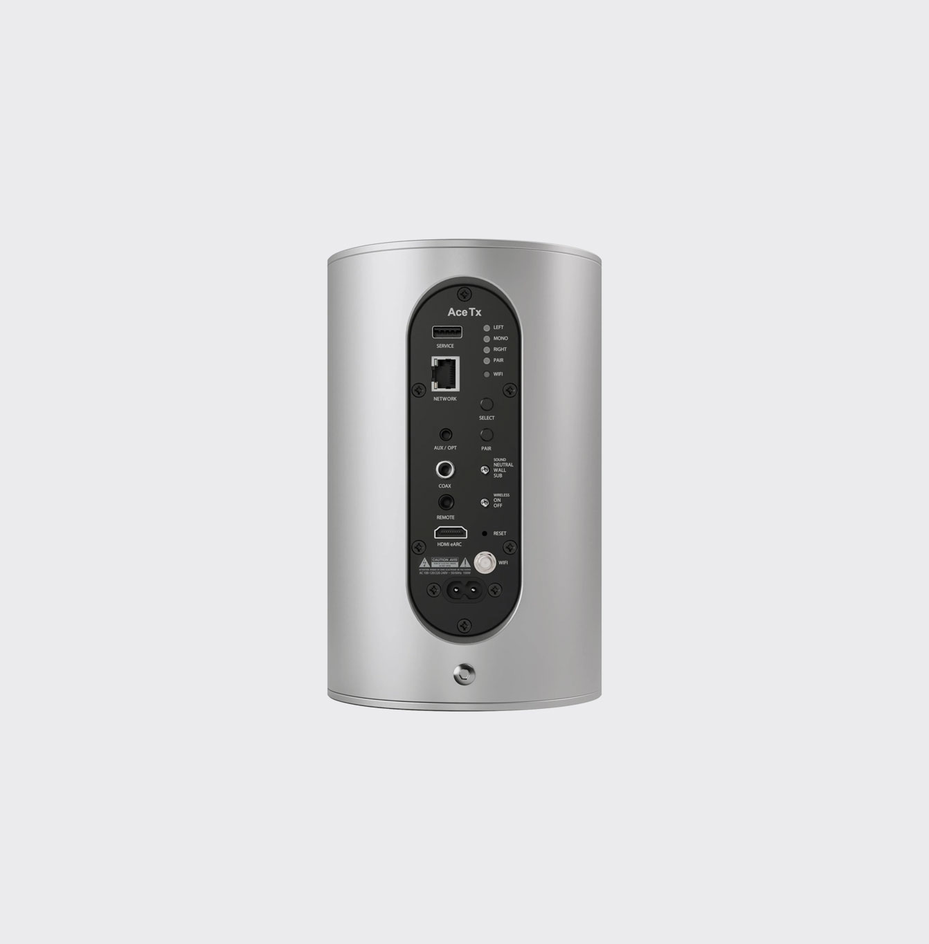 Piega Ace 50 Wireless