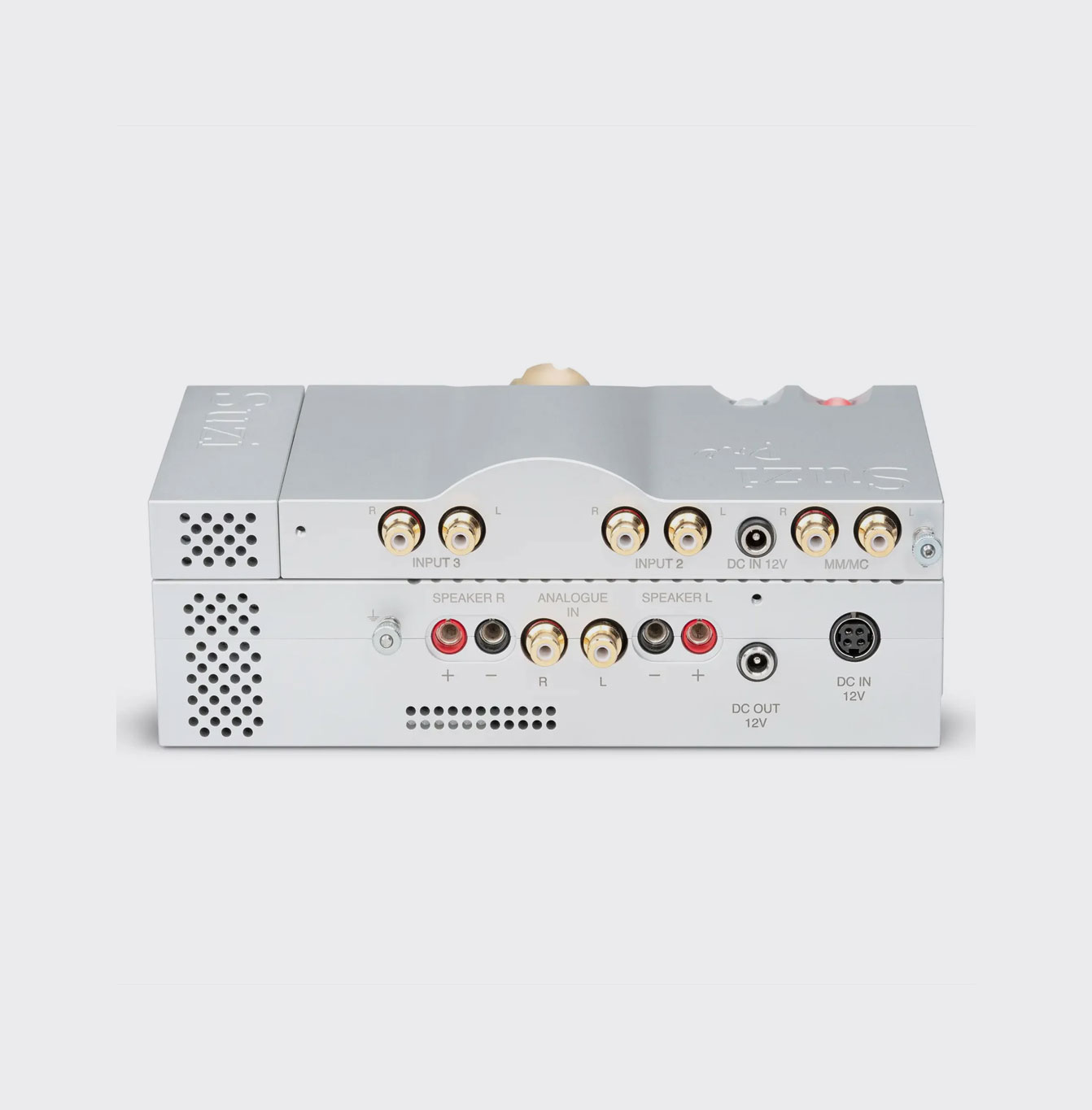 Chord Suzi Amp