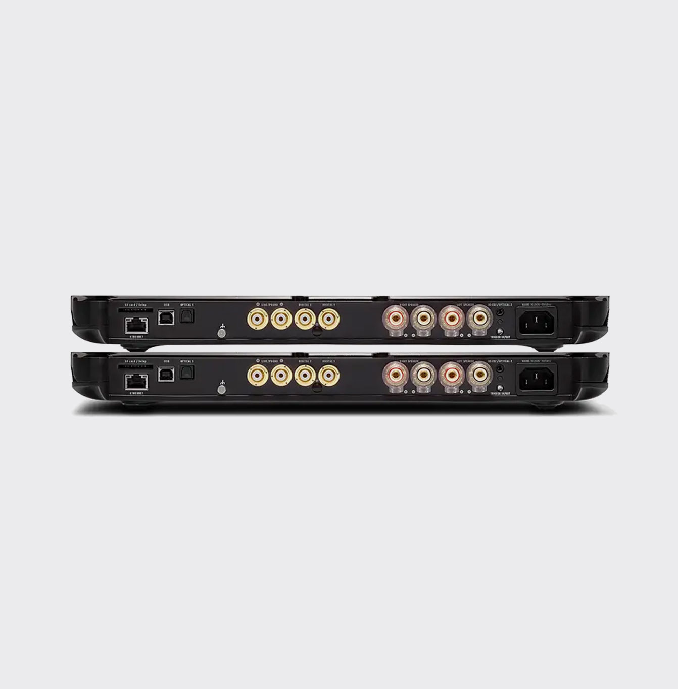 Devialet Expert 210 Pro Dual