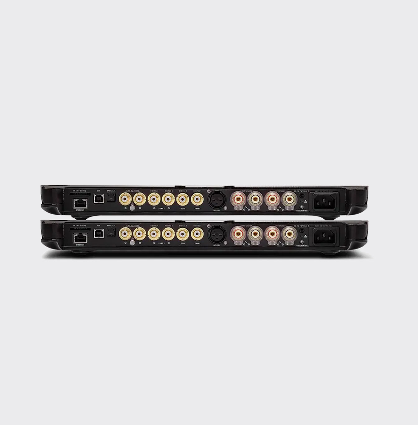 Devialet Expert 440 Pro Dual