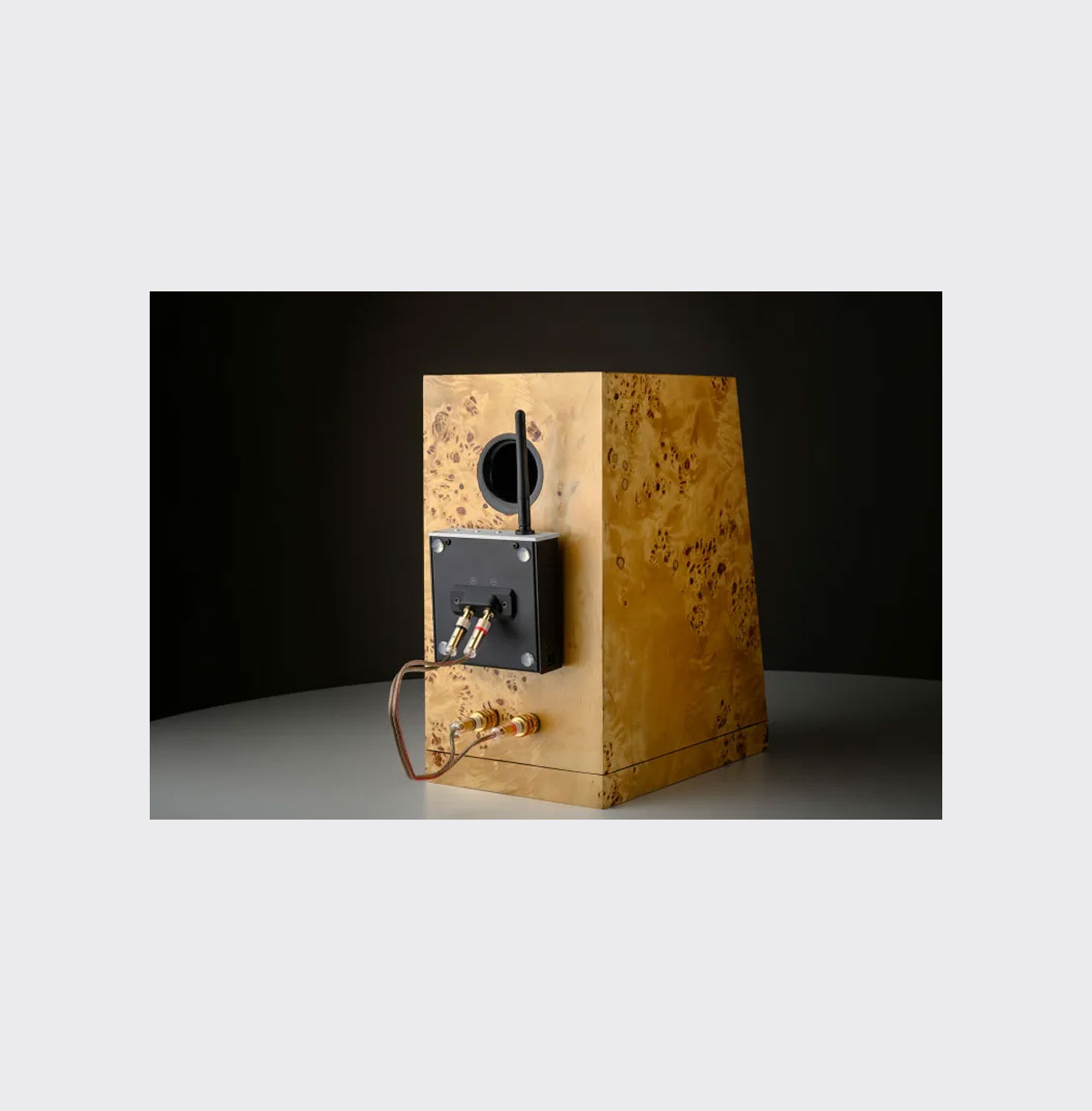 Pro-Ject Wireless Box E